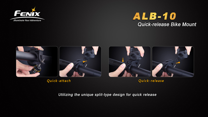 ALB10_5.jpg