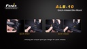 ALB10_5.jpg